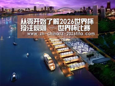 案例展示八
