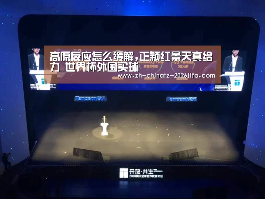 2026世界杯