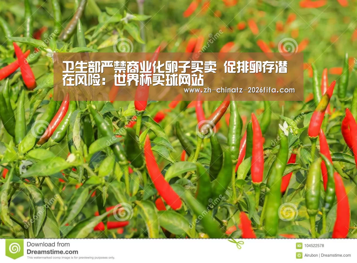 世界杯买球网站
