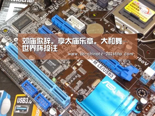 世界杯买球网站